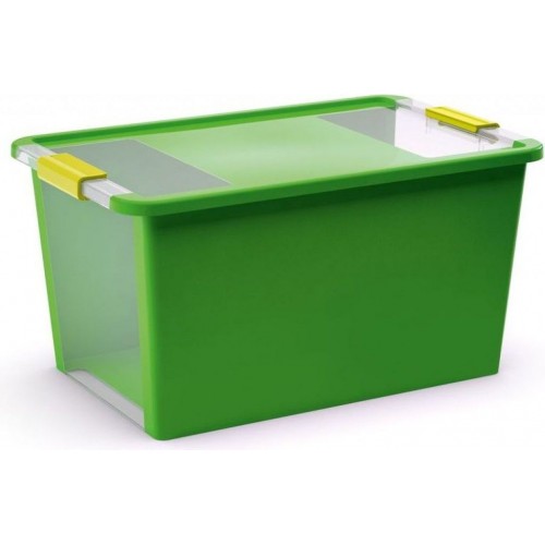 KIS BI BOX L 40L 55x35x28cm grün/transparent