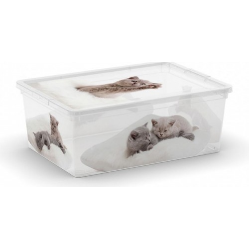 KIS C BOX PUPPY & KITTEN S 37x26x14cm 11L