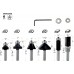 BOSCH 6-teiliges Rand- und Kantenfräser-Set, 1/4"-Schaft 2607017470