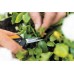 Fiskars Solid SP13 Micro-tip Gartenschere, 140 mm 1051600